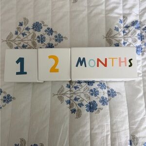 Baby Milestone Blocks